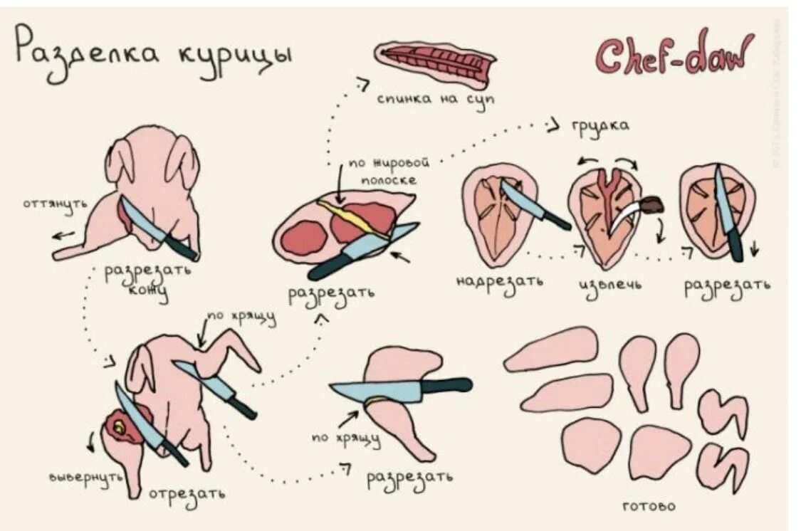 Разделка курицы на части схема фото пошагово Разделка курицы Кулинарные советы, Рецепты, Кухонные советы