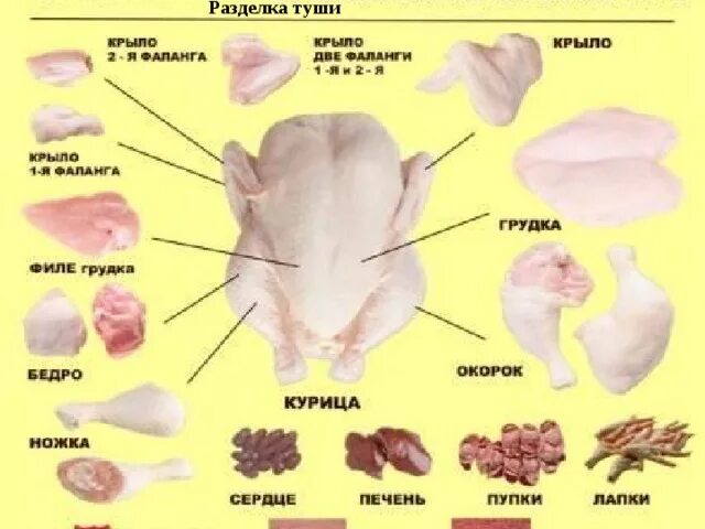 Разделка курицы на части схема фото пошагово Какая часть курицы самая полезная - CoffeePapa.ru