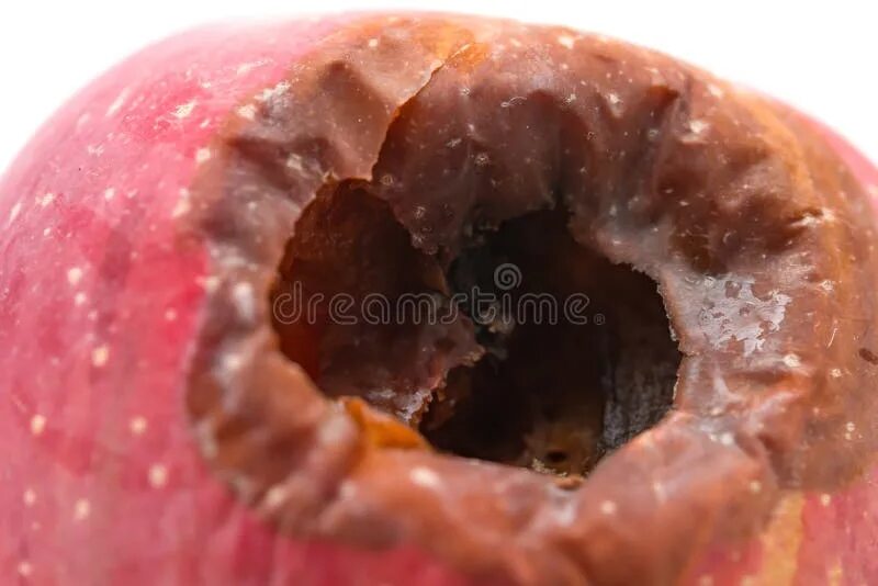 Раздолбанные очки фото Rotten Apple Big Hole White Stock Photos - Free & Royalty-Free Stock Photos from