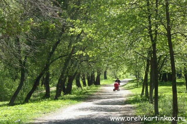 Разградский парк орел разградский парк фото Козий парк - Фото