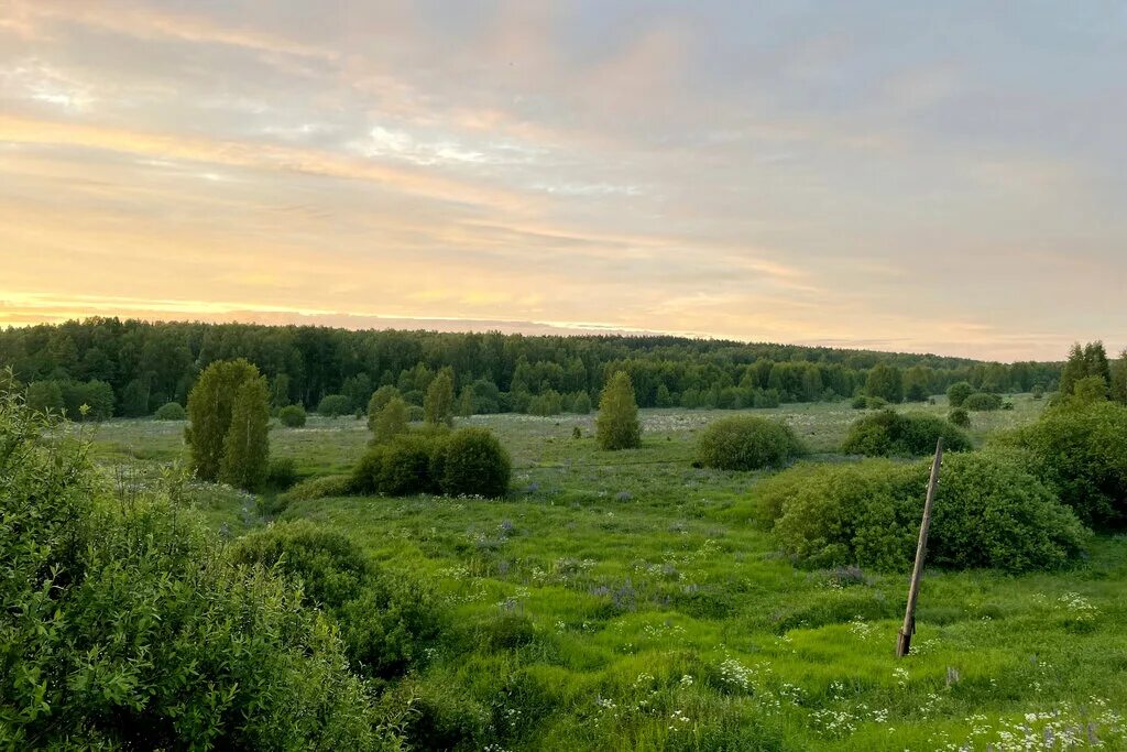 Фото: Разгуляй, кафе, Нижегородская область, 22Н-4533 - Яндекс Карты