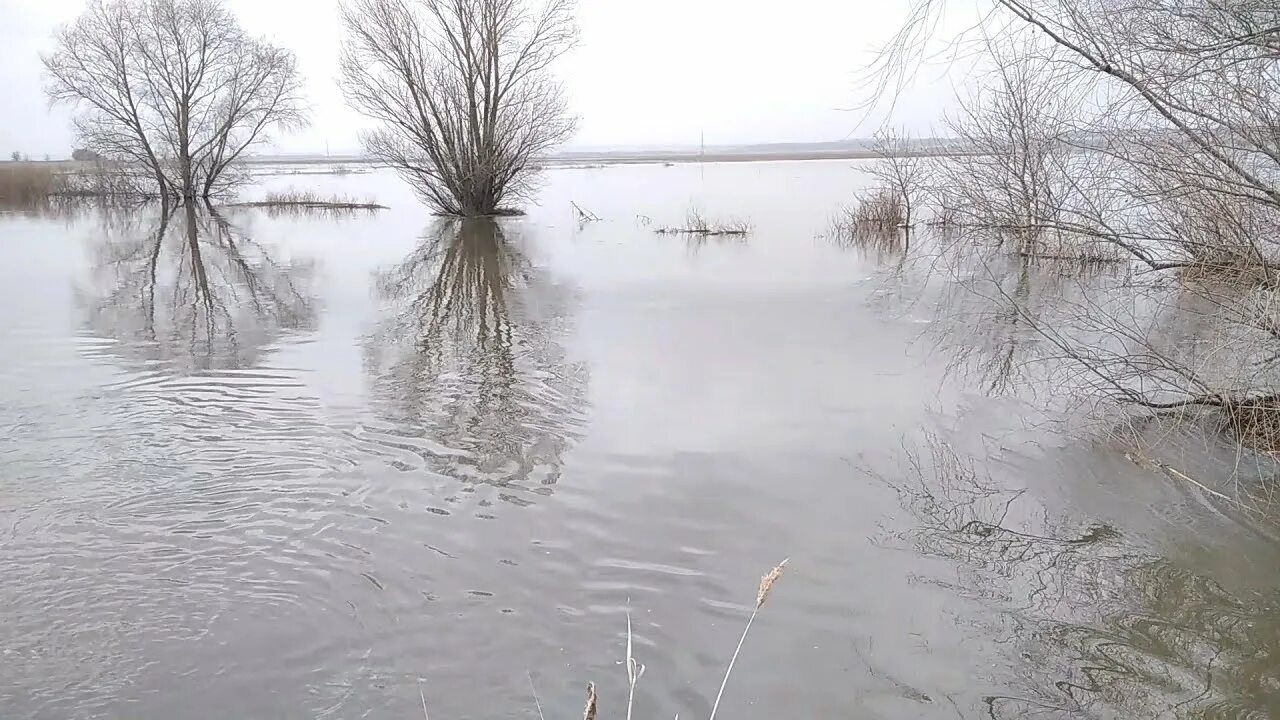 Разлив реки фото Разлив реки весной на Савале. Вода вода кругом вода - YouTube