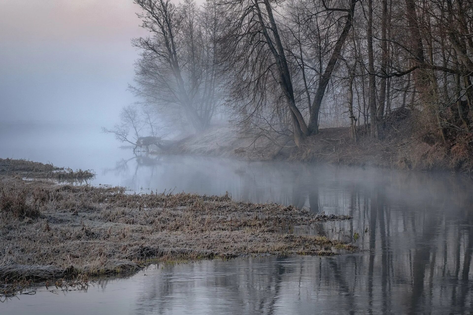 Разлив реки фото Вода сошла. Photographer Andrey Chizh