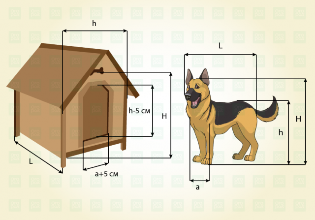 Размер будки для немецкой овчарки фото Как правильно построить бутку? Александр Веретеннников Дзен