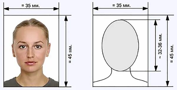 Размер фото на паспорт россии Визы в Болгарию