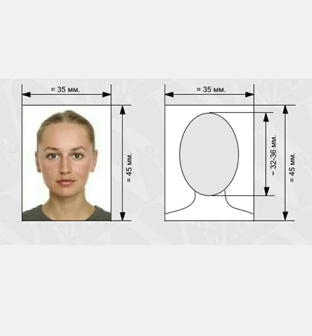 Размер фото на загранпаспорт нового образца Фото на загранпаспорт новый и старый: требования и образцы