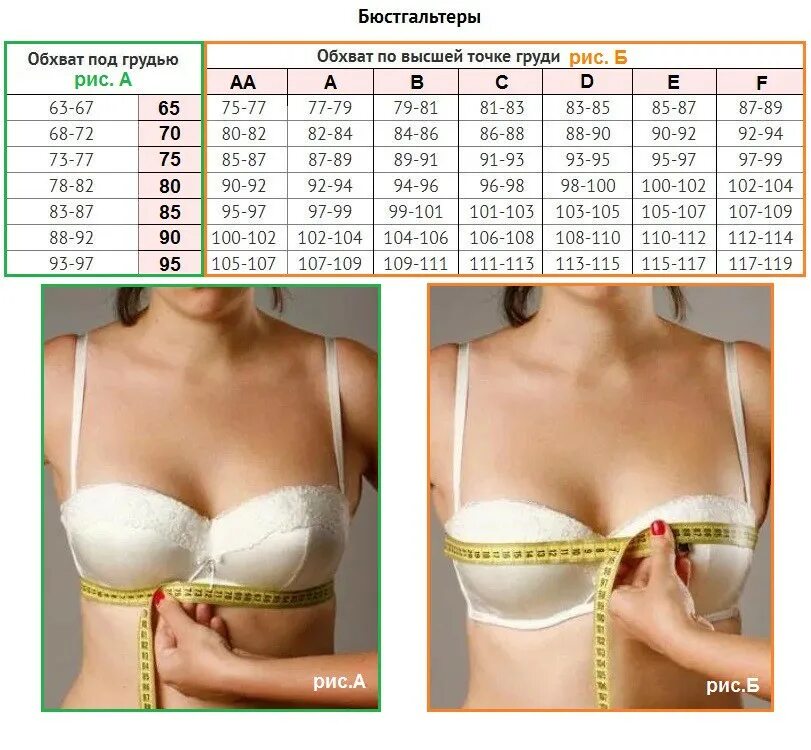 Размер груди по номерам фото Найти размеры по фотографии: найдено 89 картинок
