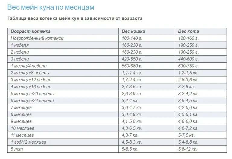 Размер котенка по месяцам фото Модный аксессуар. - Сообщество "Мальчики и Девочки" на DRIVE2