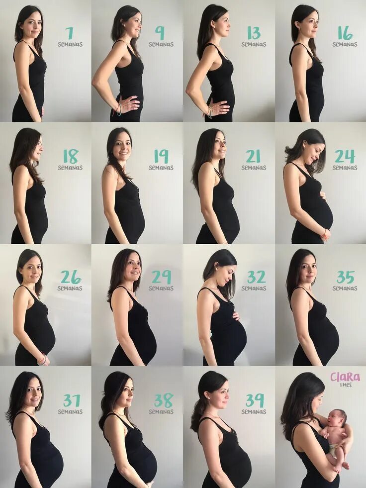 Размер живота по месяцам фото Bumpie timeline. Pregnancy photography. Schwangerschafts bauchfotos, Schwangersc