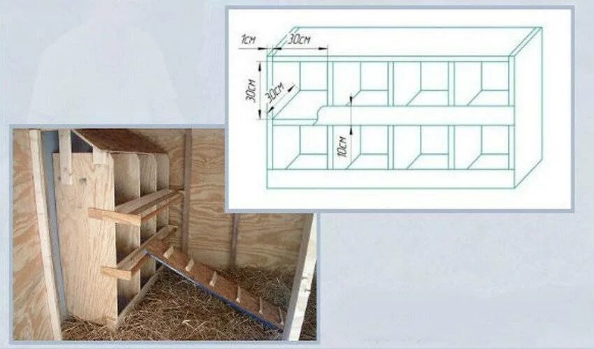 Размеры для несушек своими руками чертежи Гнезда в курятнике (20 фото): размеры. Как своими руками правильно сделать курин