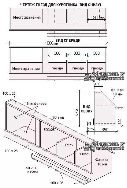 Размеры для яйцесборником своими руками чертежи Pin on Куры