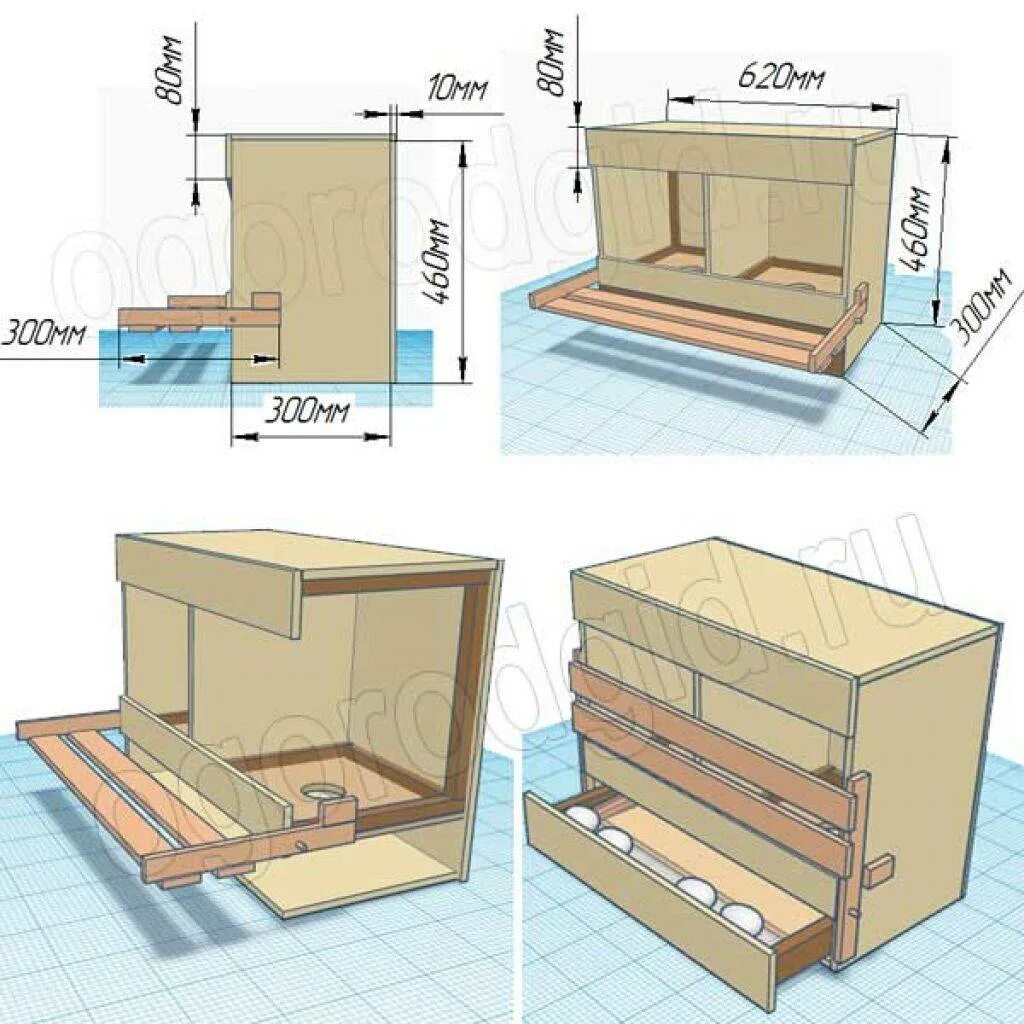 Размеры для яйцесборником своими руками чертежи Гнезда в курятнике (20 фото): размеры. Как своими руками правильно сделать курин