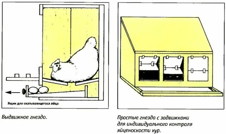 Размеры для яйцесборником своими руками чертежи Pin on Machine embroidery designs in 2024 Chicken coop designs, Chickens backyar