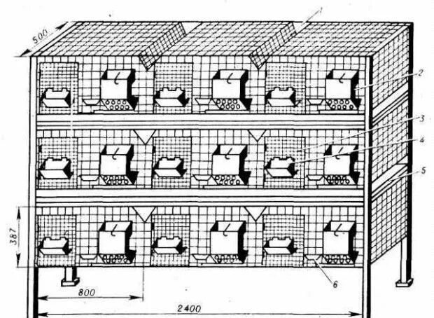 Размеры клеток кроликам своими руками чертежи Pin on Gardening Rabbit cages, Rabbit hutches, Rabbit cage