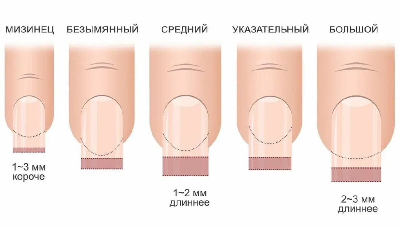 Размеры ногтей фото Красивые ногти. Маникюр. DivaNail Маникюр, Длинные ногти, Ногти