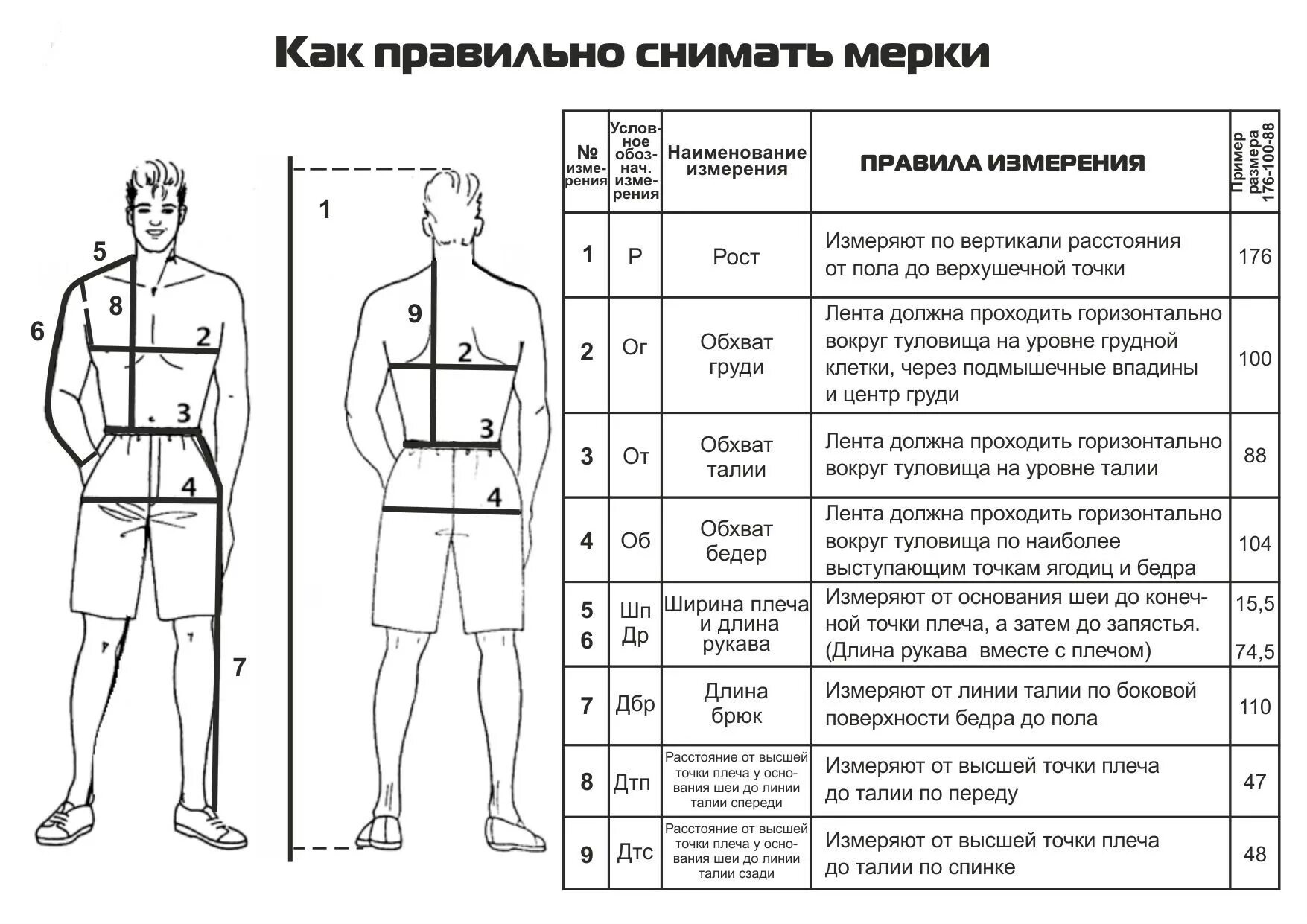 Размеры одежды для выкройки Замер позиций