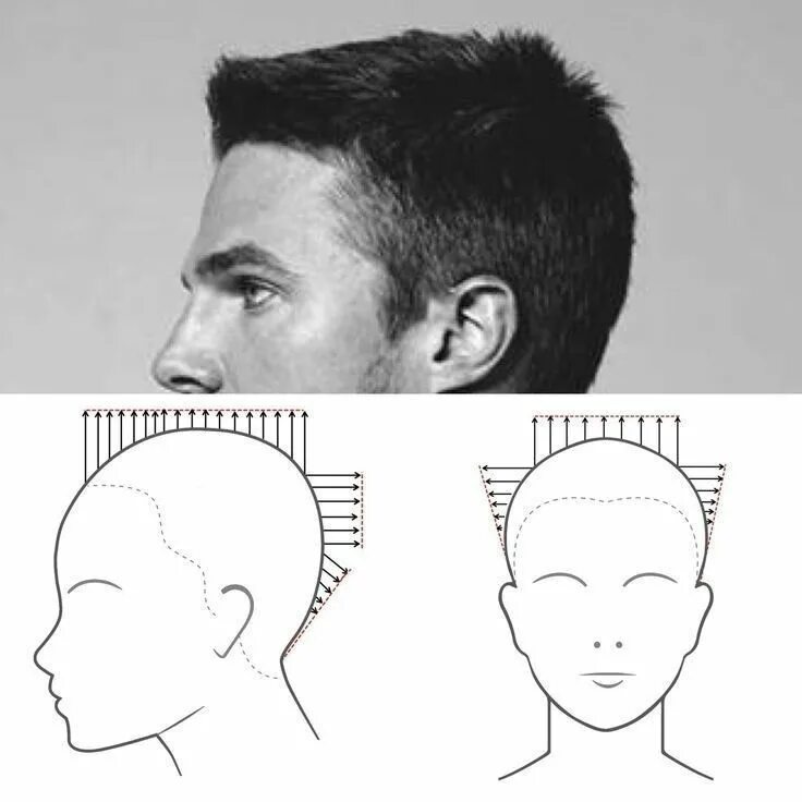 Размеры причесок мужских male hairstyle Стрижки своими руками, Короткие мужские прически, Мужские стрижки