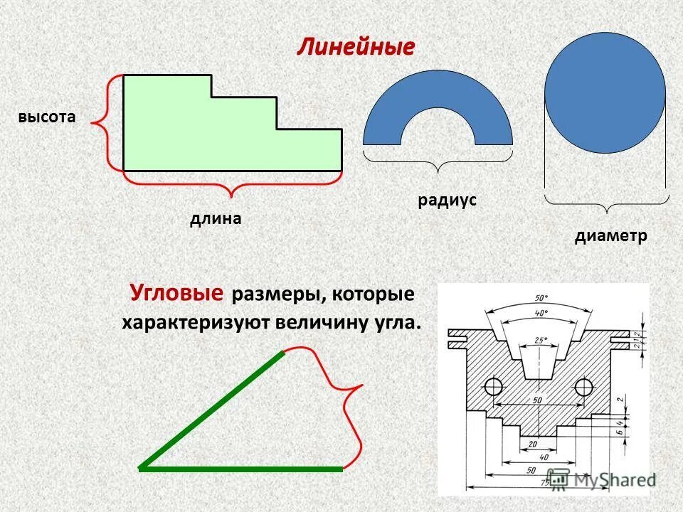 Размеры разделяют на линейные и угловые фото Картинки ЛИНЕЙНЫЕ И УГЛОВЫЕ РАЗМЕРЫ