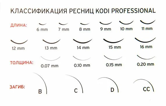 Размеры ресниц для наращивания фото Ресницы Kodi Professional черные в баночке B 0,15 (размер 08) купить в Киеве