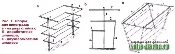 Размеры шпалеры для винограда своими руками чертежи Шпалера для малины своими руками чертежи - CollectPhoto.ru