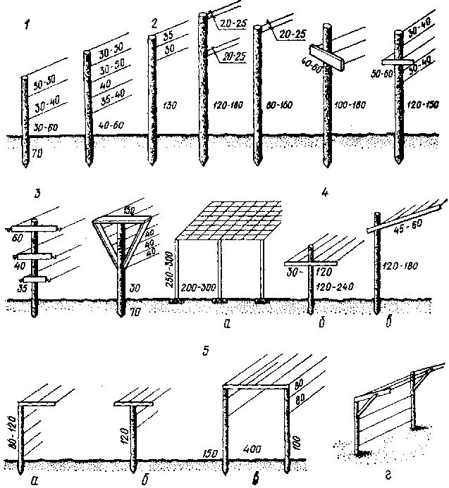 Размеры шпалеры для винограда своими руками чертежи 6 Системы ведения, формирование и обрезка виноградных растений / Виноградарство,