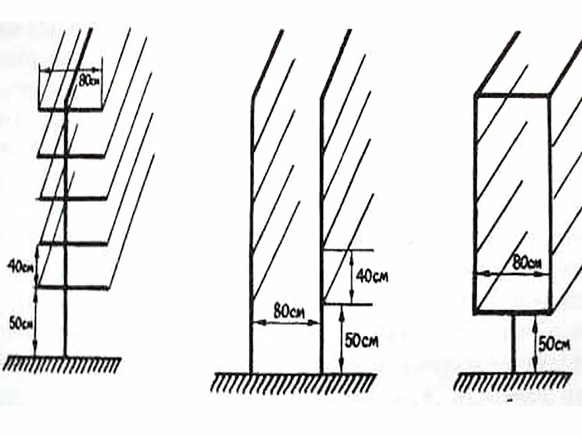 Размеры шпалеры для винограда своими руками чертежи Простая шпалера для винограда своими руками - пошаговая инструкция с фото ООО ЛО