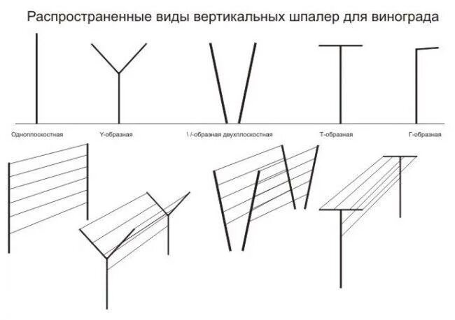 Размеры шпалеры для винограда своими руками чертежи Шпалеры для винограда: виды и свойства Блог
