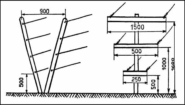 Размеры шпалеры для винограда своими руками чертежи Шпалера и формировка винограда. Виды шпалер. Шпалеры, Малина, Виноград