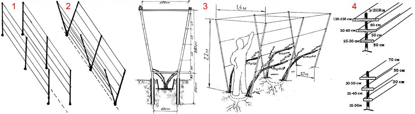 Размеры шпалеры для винограда своими руками чертежи Шпалера для винограда: как сделать опору своими руками, виды и материалы, констр