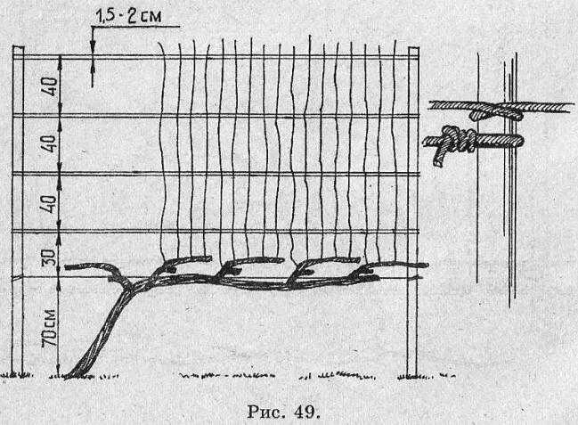 Размеры шпалеры для винограда своими руками чертежи Расстояние между шпалерами для винограда