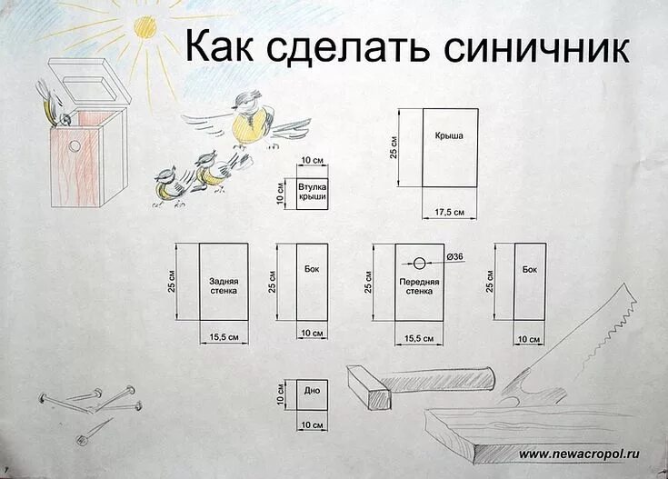 Размеры синичника своими руками чертежи Чертеж: Как изготовить синичник своими руками Домики для птиц, Скворечник, Домик