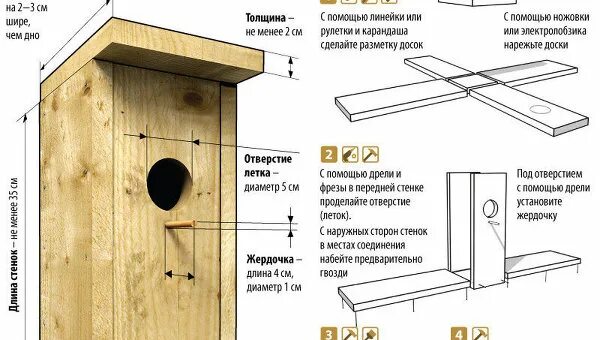 Размеры синичника своими руками чертежи Инфографика - архив новостей за 30.03.2012 - РИА Новости