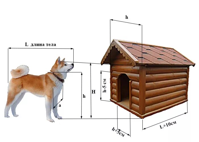 Размеры собачьей будки для средней собаки фото Будка для АКИТА-ИНУ - требуемые размеры собачьей будки