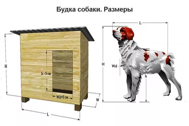 Размеры собачьей будки для средней собаки фото Будка для собаки Casa de cachorro, Cães, Cachorro