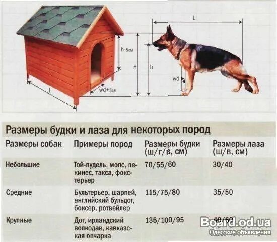 Размеры собачьей будки для средней собаки фото Будка конура для собаки - купить в Чистенькой, цена 3 000 руб., дата размещения: