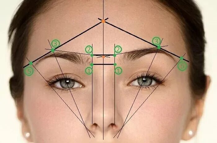 Разметка бровей фото Окрашивание бровей: обучение мастеров