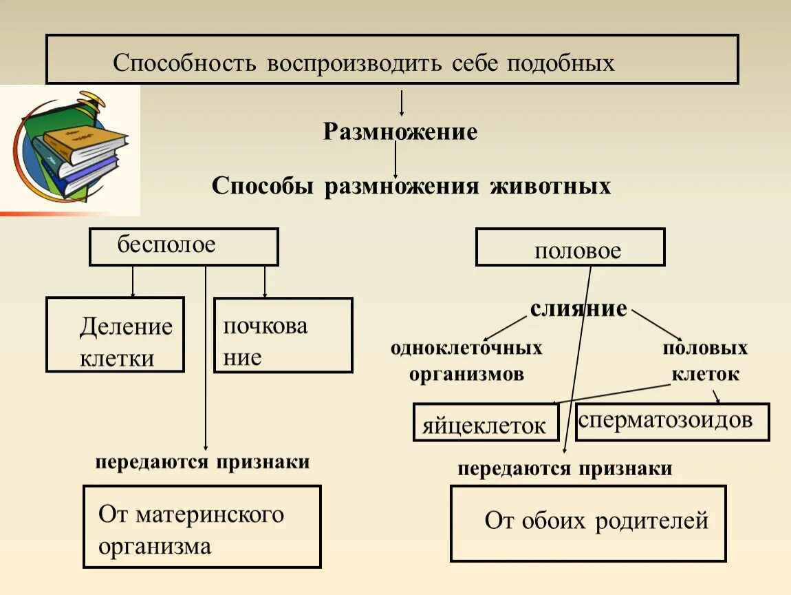 Размножение животных картинки Презентация "Способы размножение" 7 класс