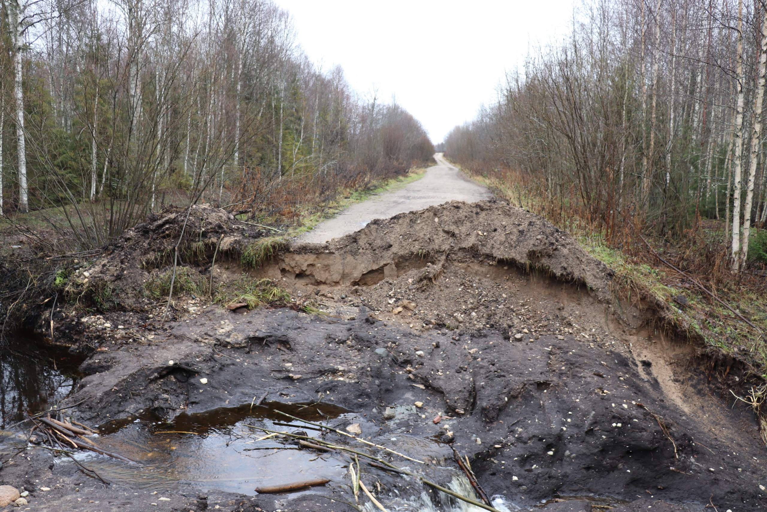 Размыло дорогу фото Поток воды размыл дорогу в Бабаевском округе