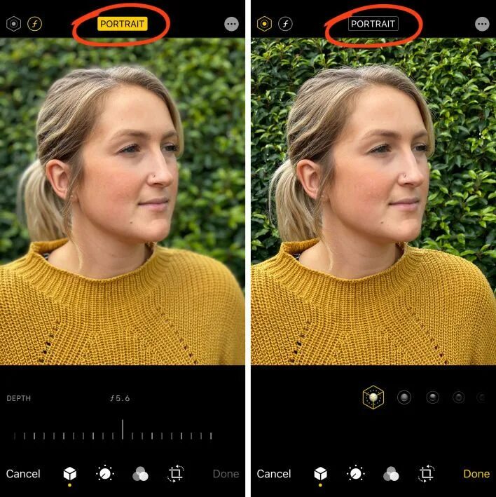 Размыть лицо на фото айфон 4 Easy Ways To Blur The Background In Your iPhone Photos Iphone camera, Photogra