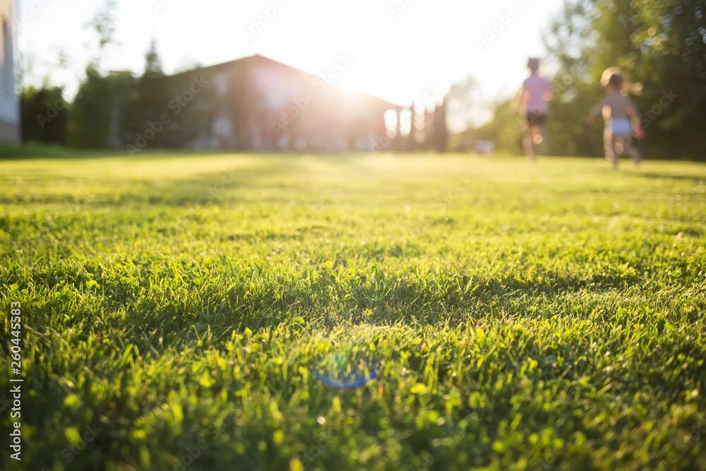 Размыть участок фото lawn at home. running children in blur. On a Sunny summer day. фотография Stock 