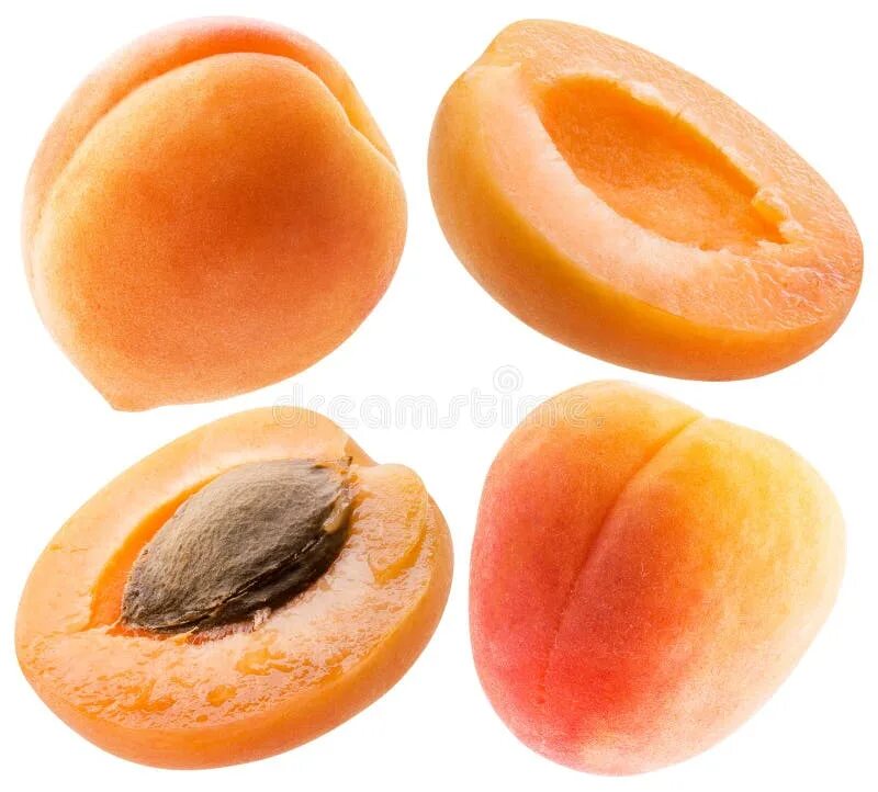 Разница между персиком и ракушкой фото Collection of Apricot and Peach Slices Isolated on a White Background Stock Phot