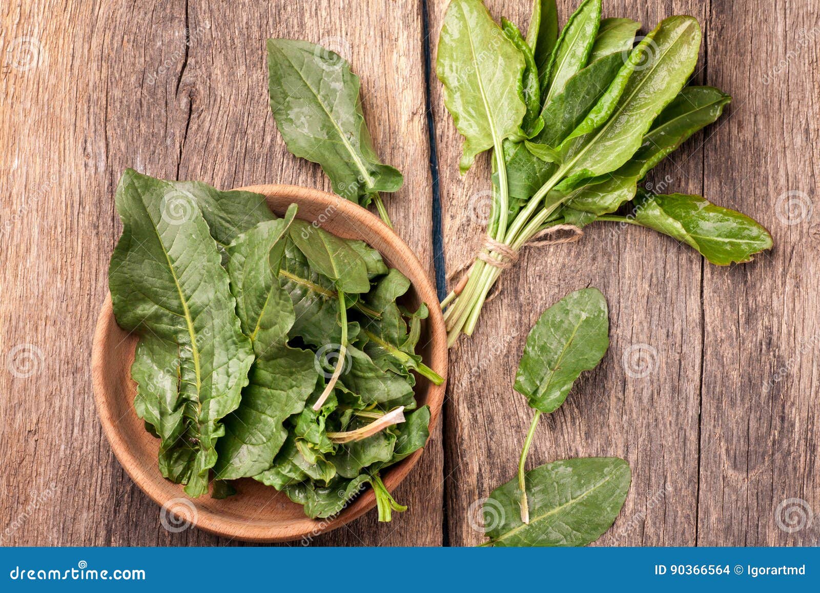 Разница между персиком и щавелем фото Fresh sorrel vegetable stock photo. Image of cooking - 90366564