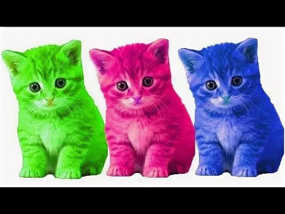 Разноцветный котенок фото Aprende El Color Con El Gato El Vídeo Colorido Lindo Del Aprendizaje Del Color -