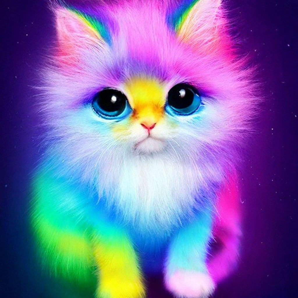 Разноцветный котенок фото "Fluffy rainbow kitty" - image created in Shedevrum