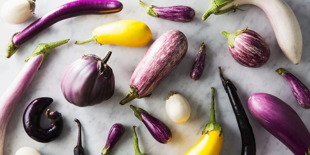 Разновидность баклажанов фото и названия 6 Eggplant Varieties to Try Eggplant varieties, Freezing eggplant, Eggplant