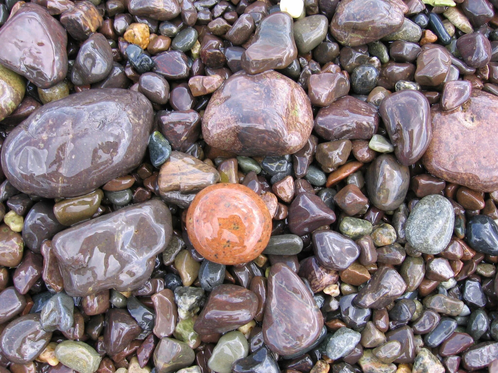 Разновидность камней в природе фото Free photo: Polished Stones - Backdrop, Pebbles, Polished - Free Download - Jooi