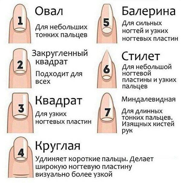 Разновидность ногтей фото Форма ногтей Manicure nail designs, Nail manicure, Work nails