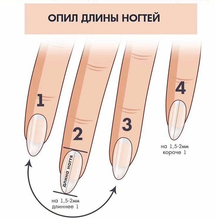 Pin by Arbrore Zekaj on Nails Nail shapes, Fashion nails, Nail length