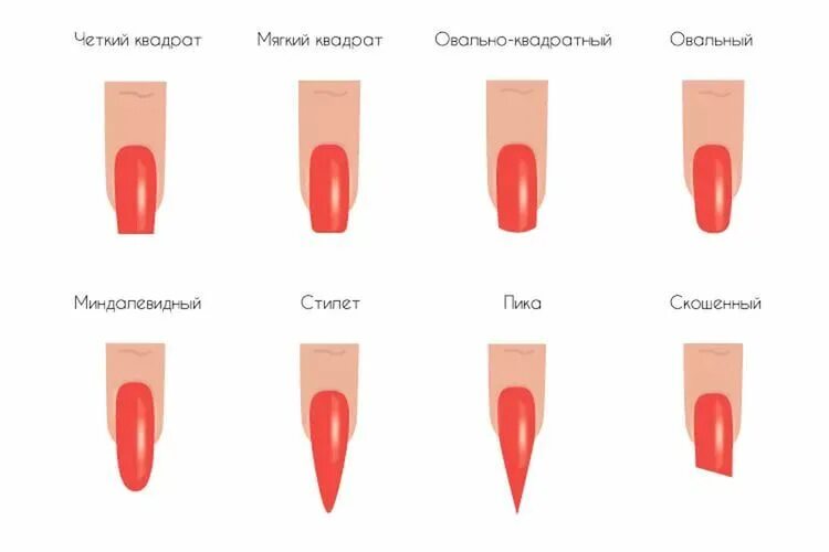 Разновидность ногтей фото Формы ногтей и их названия с фото Новогодний маникюр, Маникюр, Гвоздь