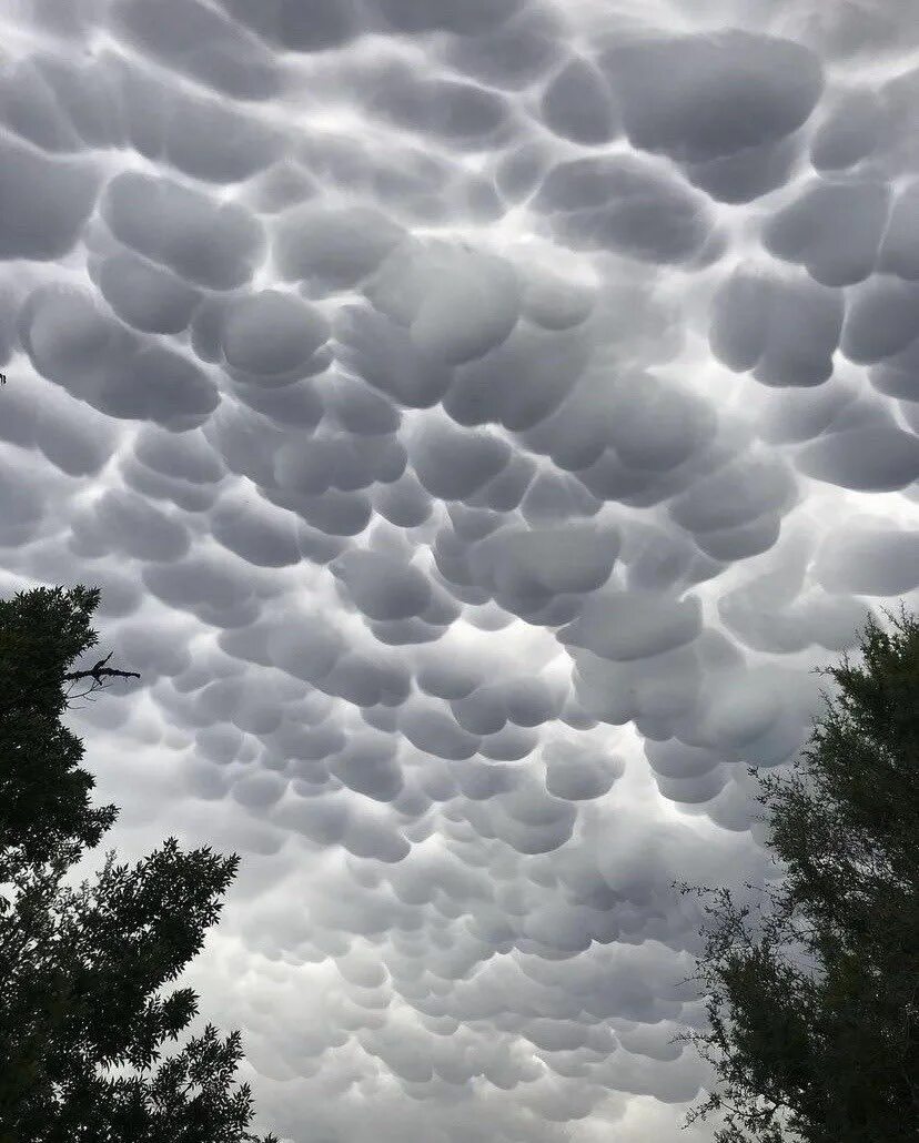 Разновидность облаков фото и название 5’4 on a good day. on Twitter in 2022 Mammatus clouds, Sky aesthetic, Clouds